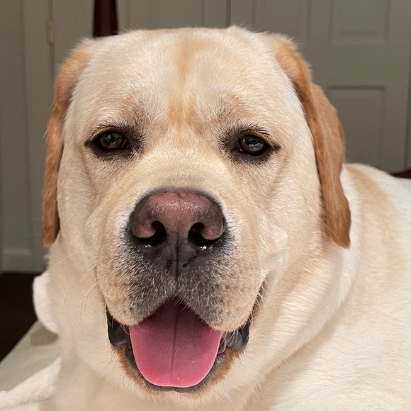 Meet your Posher, Glenda - Picture 15 of 16